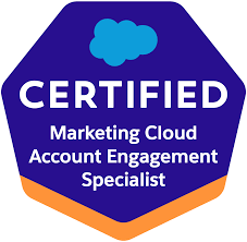 Marketing Cloud Account Engagement Consultant Tests (Wi26)
